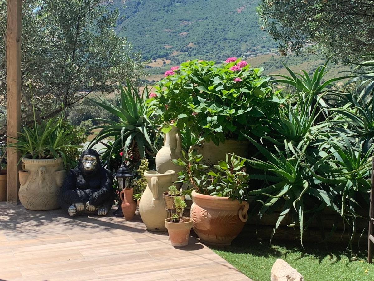 Residence Paradisu Ajaccio Appietto Exterior foto
